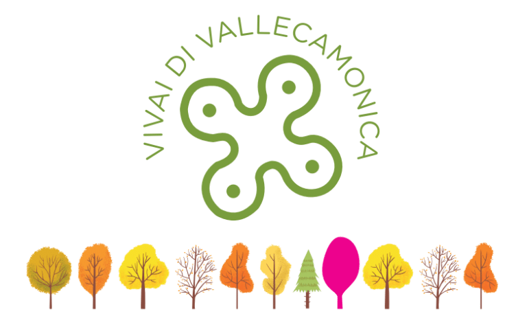 vivai di vallecamonica