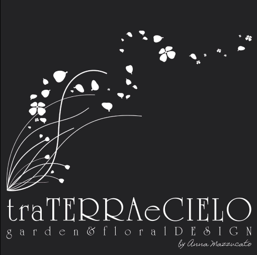 Screenshot 2024-11-11 104324