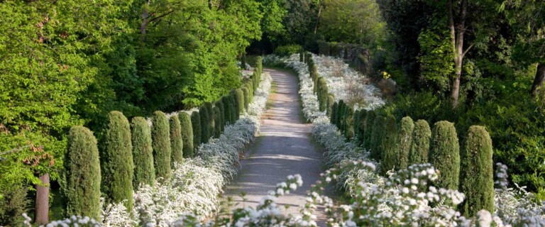 appuntamento-giardino-2025-italian-design-institute