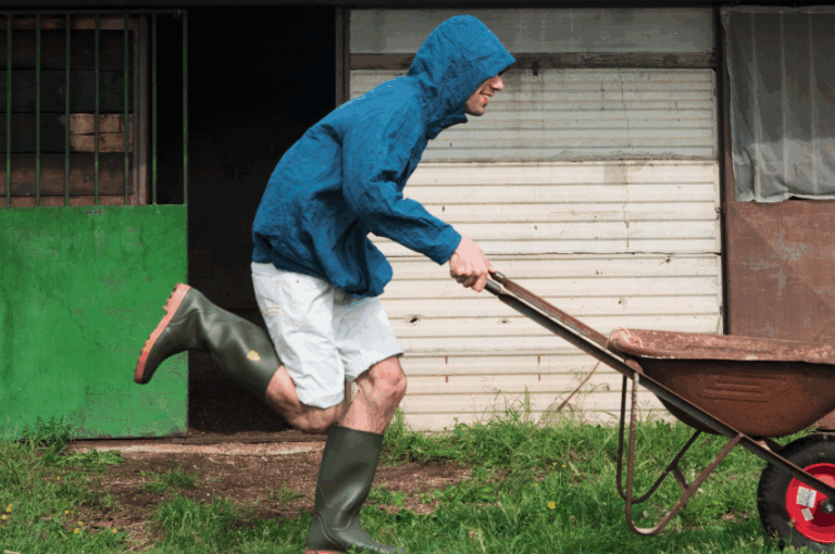 idi dressing the future zoe romano